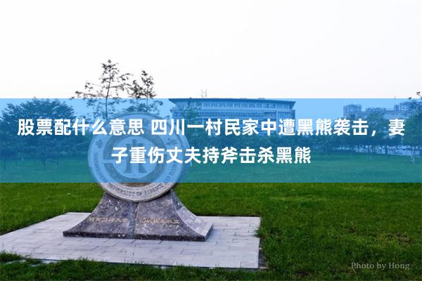 股票配什么意思 四川一村民家中遭黑熊袭击，妻子重伤丈夫持斧击杀黑熊
