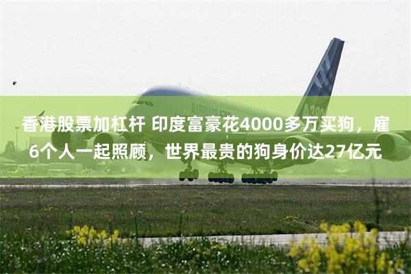 香港股票加杠杆 印度富豪花4000多万买狗，雇6个人一起照顾，世界最贵的狗身价达27亿元