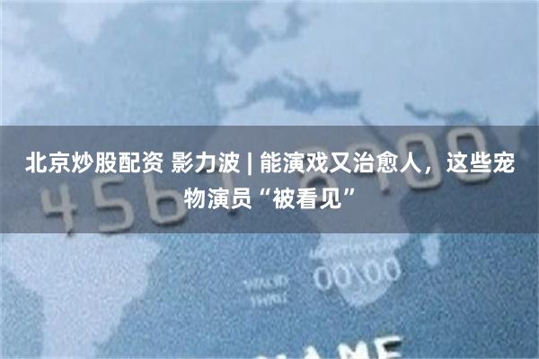 北京炒股配资 影力波 | 能演戏又治愈人，这些宠物演员“被看见”