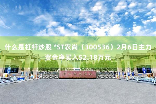 什么是杠杆炒股 *ST农尚（300536）2月6日主力资金净买入52.18万元