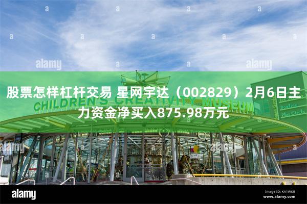 股票怎样杠杆交易 星网宇达（002829）2月6日主力资金净买入875.98万元