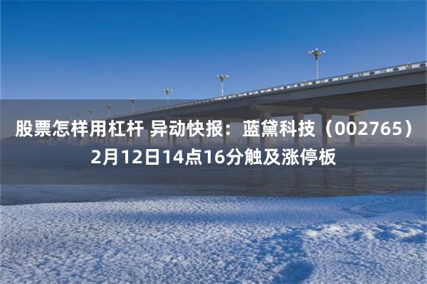 股票怎样用杠杆 异动快报：蓝黛科技（002765）2月12日14点16分触及涨停板