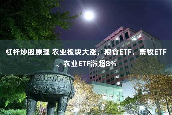 杠杆炒股原理 农业板块大涨，粮食ETF、畜牧ETF、农业ETF涨超8%