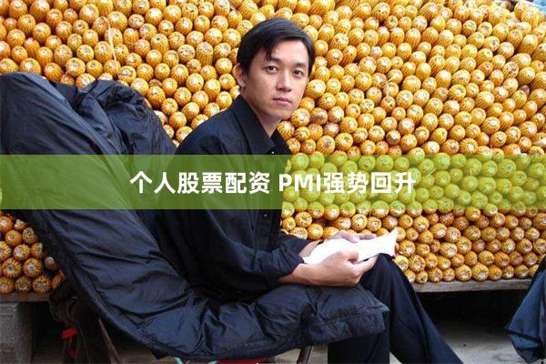 个人股票配资 PMI强势回升