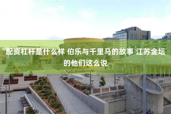 配资杠杆是什么样 伯乐与千里马的故事 江苏金坛的他们这么说