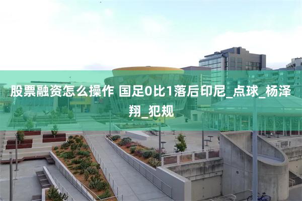 股票融资怎么操作 国足0比1落后印尼_点球_杨泽翔_犯规