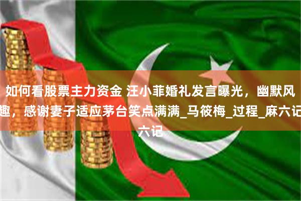 如何看股票主力资金 汪小菲婚礼发言曝光，幽默风趣，感谢妻子适应茅台笑点满满_马筱梅_过程_麻六记