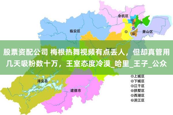股票资配公司 梅根热舞视频有点丢人，但却真管用几天吸粉数十万，王室态度冷漠_哈里_王子_公众