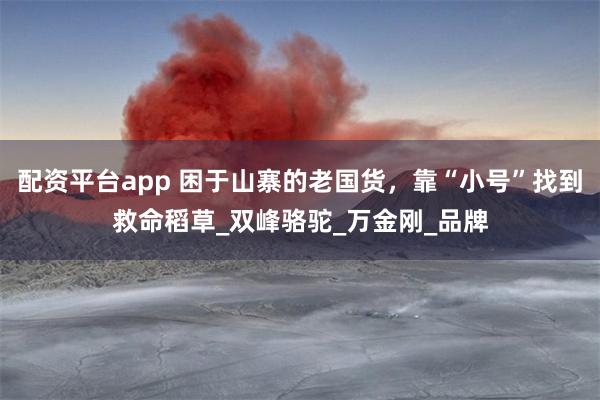 配资平台app 困于山寨的老国货，靠“小号”找到救命稻草_双峰骆驼_万金刚_品牌
